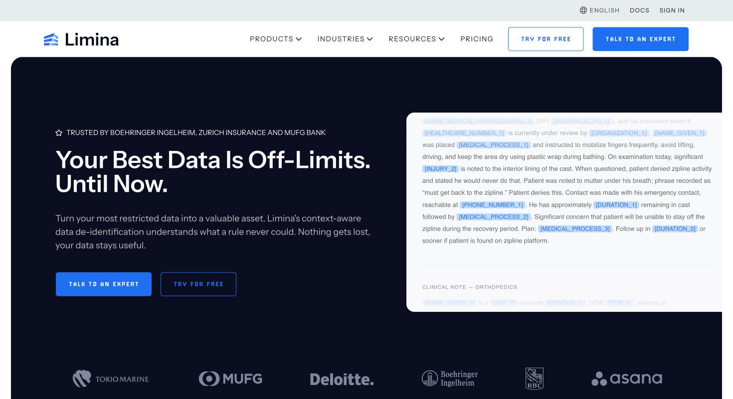 The Limina homepage (formerly Private AI)
